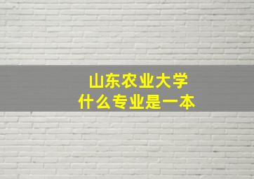 山东农业大学什么专业是一本