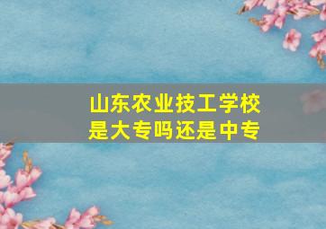 山东农业技工学校是大专吗还是中专