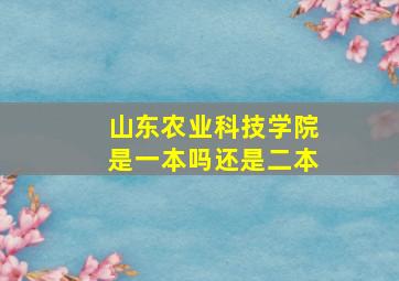 山东农业科技学院是一本吗还是二本