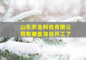 山东农业科技有限公司有哪些项目开工了