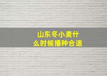 山东冬小麦什么时候播种合适