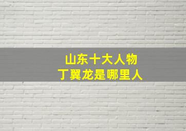 山东十大人物丁翼龙是哪里人