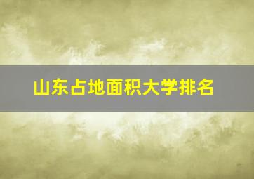 山东占地面积大学排名