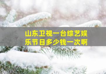 山东卫视一台综艺娱乐节目多少钱一次啊