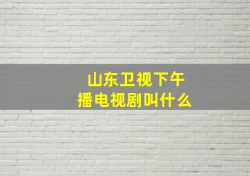 山东卫视下午播电视剧叫什么