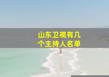 山东卫视有几个主持人名单