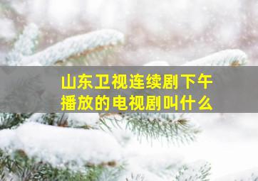 山东卫视连续剧下午播放的电视剧叫什么