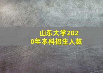 山东大学2020年本科招生人数