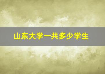 山东大学一共多少学生