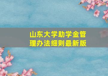 山东大学助学金管理办法细则最新版