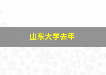 山东大学去年