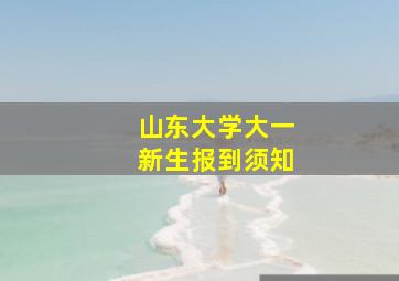 山东大学大一新生报到须知