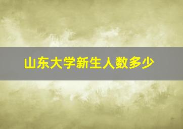 山东大学新生人数多少