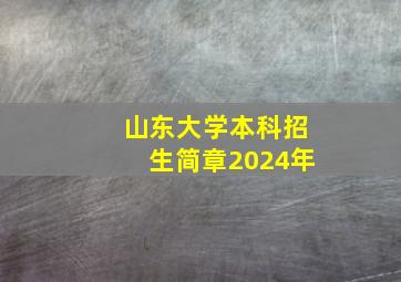 山东大学本科招生简章2024年