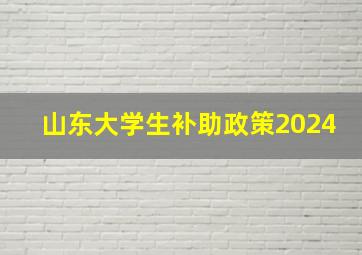 山东大学生补助政策2024