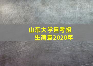 山东大学自考招生简章2020年