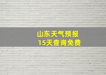 山东天气预报15天查询免费