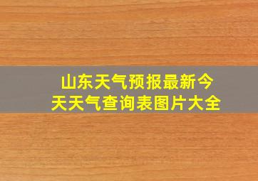 山东天气预报最新今天天气查询表图片大全