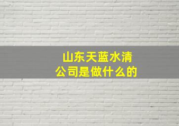 山东天蓝水清公司是做什么的