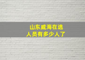 山东威海在逃人员有多少人了