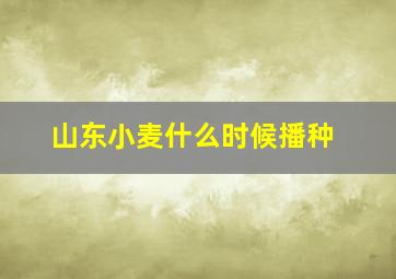 山东小麦什么时候播种