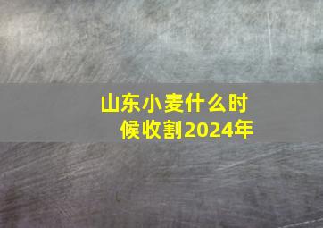 山东小麦什么时候收割2024年