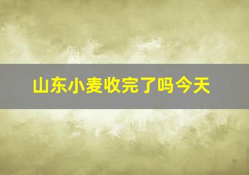 山东小麦收完了吗今天