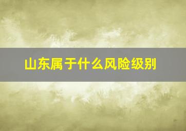 山东属于什么风险级别