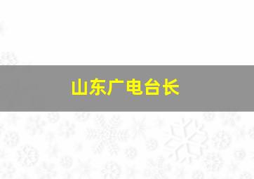 山东广电台长