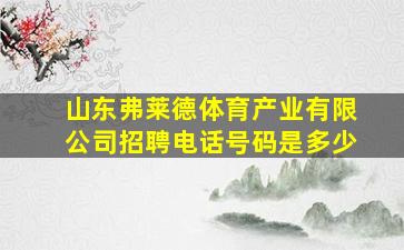 山东弗莱德体育产业有限公司招聘电话号码是多少