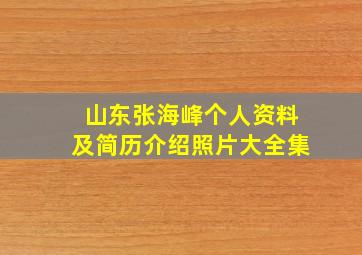 山东张海峰个人资料及简历介绍照片大全集