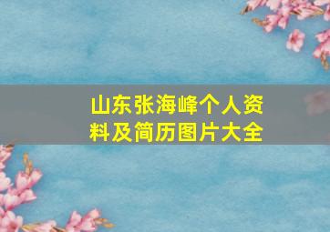 山东张海峰个人资料及简历图片大全