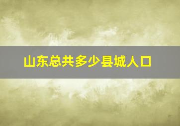 山东总共多少县城人口