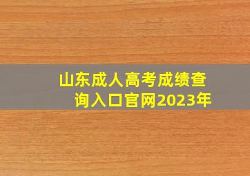 山东成人高考成绩查询入口官网2023年