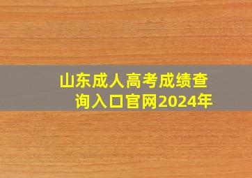 山东成人高考成绩查询入口官网2024年