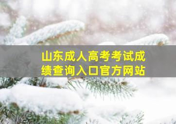 山东成人高考考试成绩查询入口官方网站