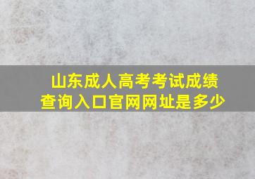 山东成人高考考试成绩查询入口官网网址是多少