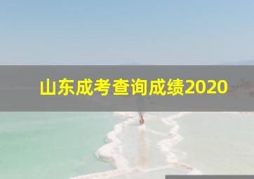 山东成考查询成绩2020