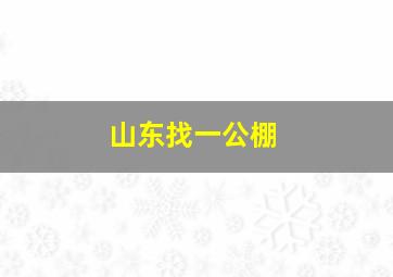 山东找一公棚