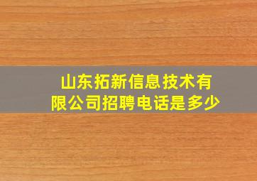 山东拓新信息技术有限公司招聘电话是多少