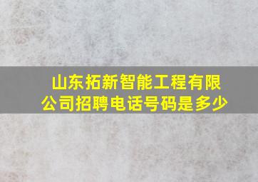 山东拓新智能工程有限公司招聘电话号码是多少