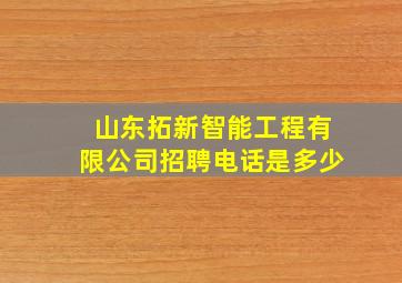 山东拓新智能工程有限公司招聘电话是多少