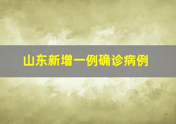 山东新增一例确诊病例