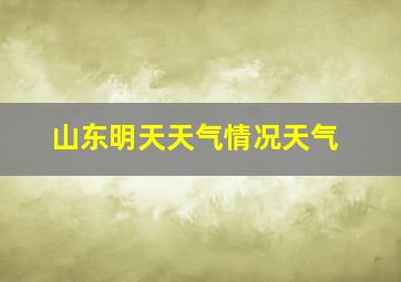 山东明天天气情况天气