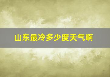 山东最冷多少度天气啊