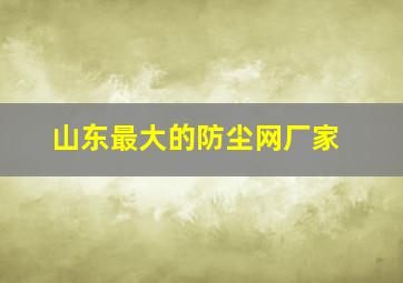 山东最大的防尘网厂家