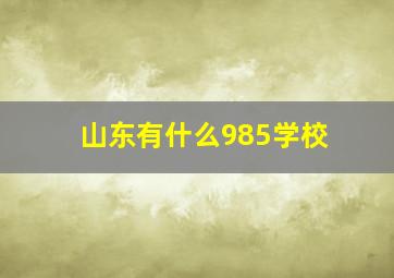 山东有什么985学校