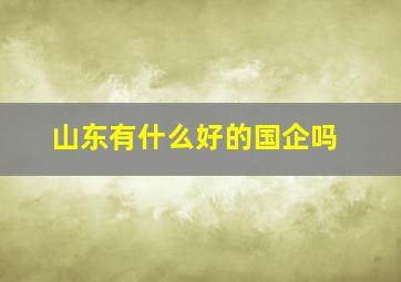 山东有什么好的国企吗