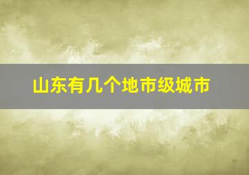 山东有几个地市级城市