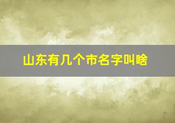 山东有几个市名字叫啥